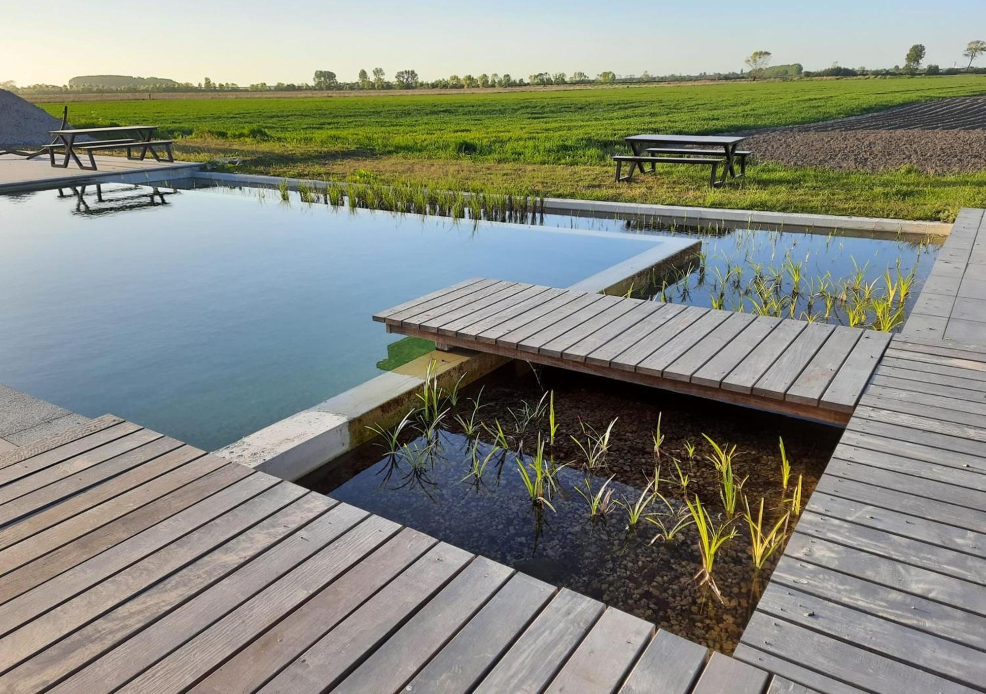 Bramendijk Apartment Groede Bagian luar foto